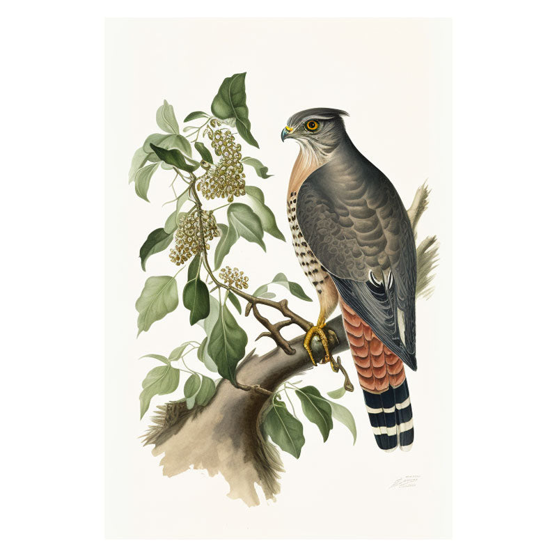 SPARROWHAWK III