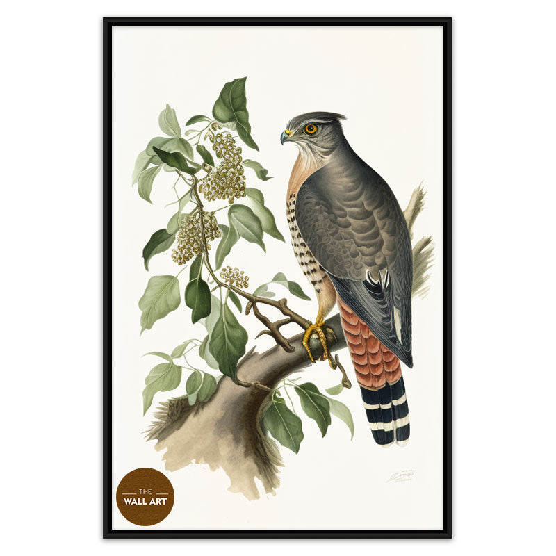SPARROWHAWK III