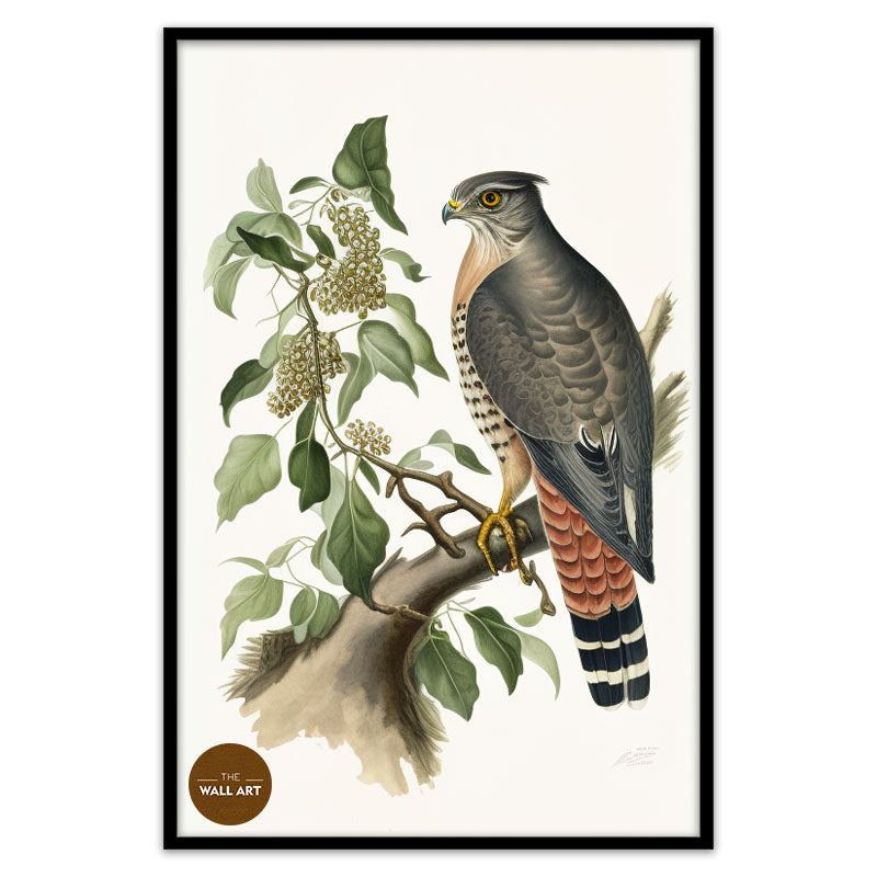 SPARROWHAWK III