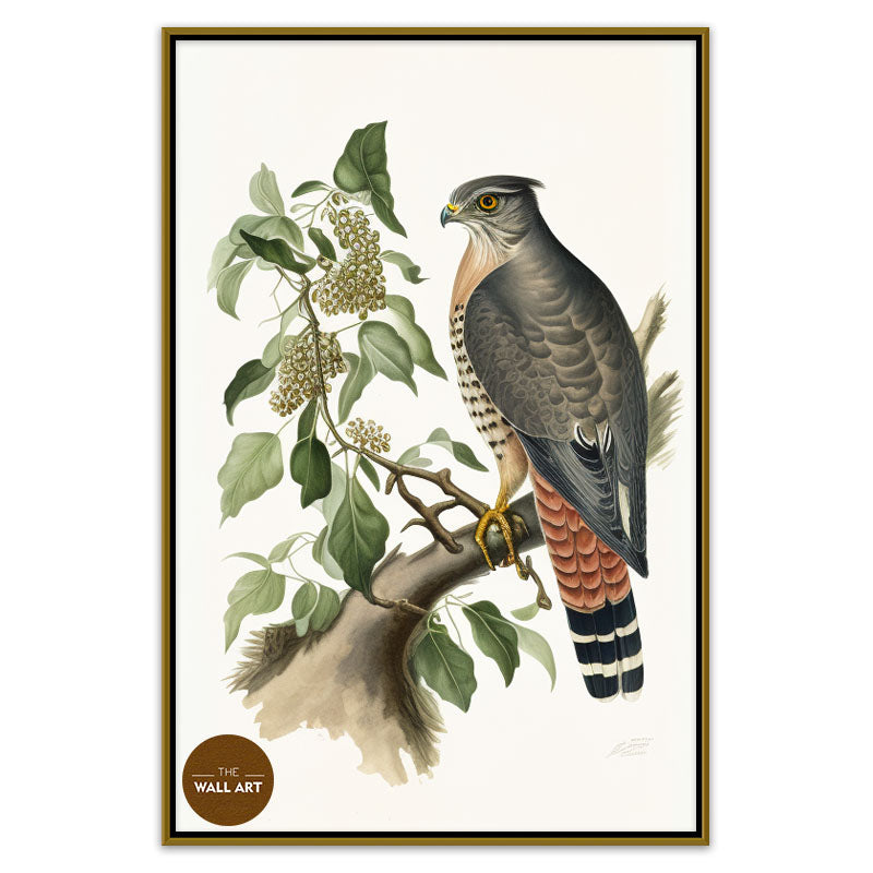 SPARROWHAWK III