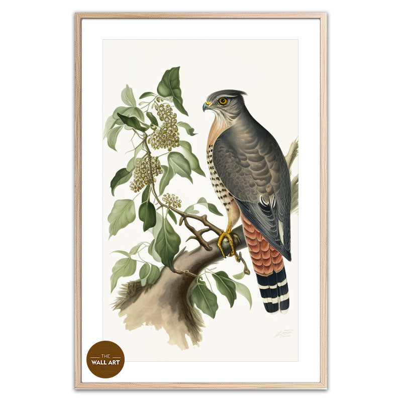 SPARROWHAWK III