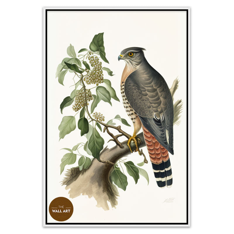 SPARROWHAWK III