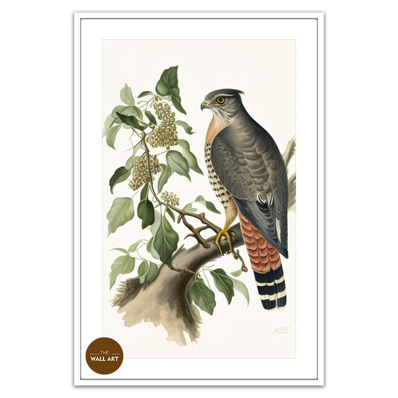 SPARROWHAWK III