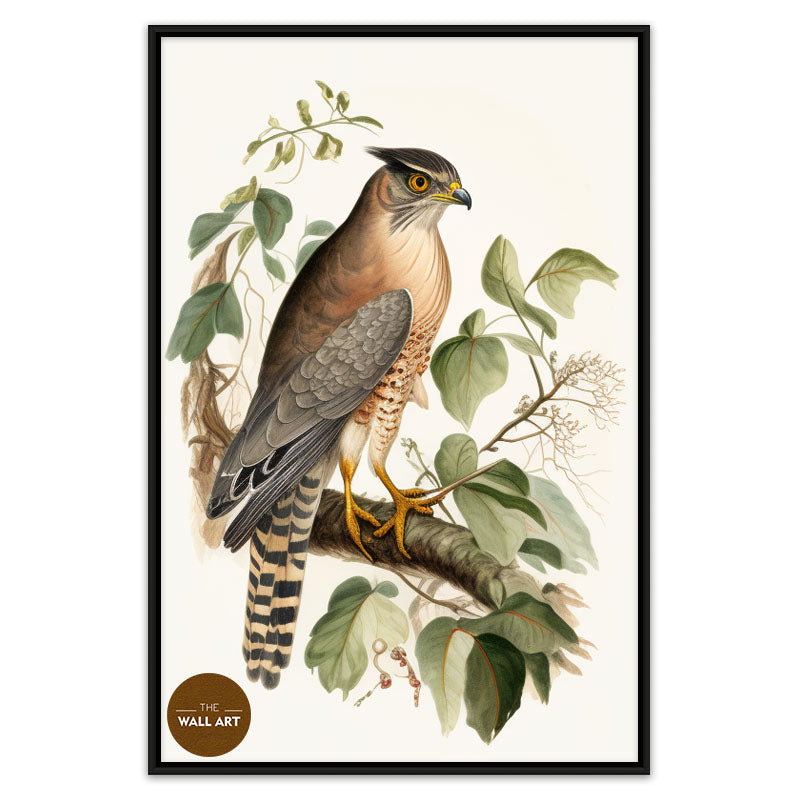 SPARROWHAWK IV
