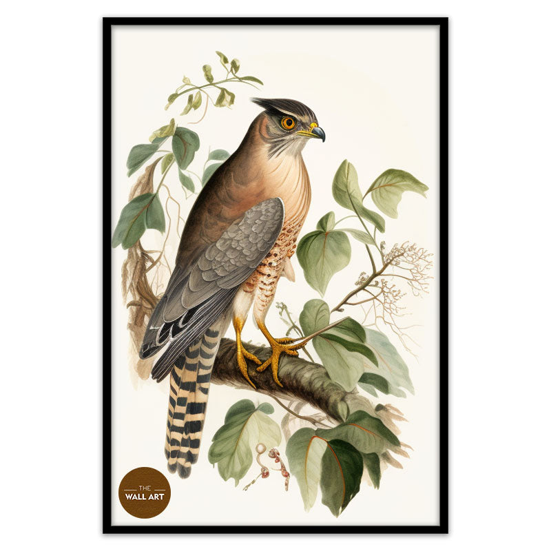 SPARROWHAWK IV