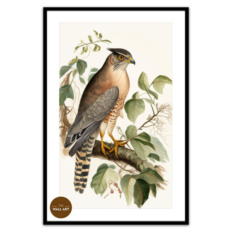 SPARROWHAWK IV