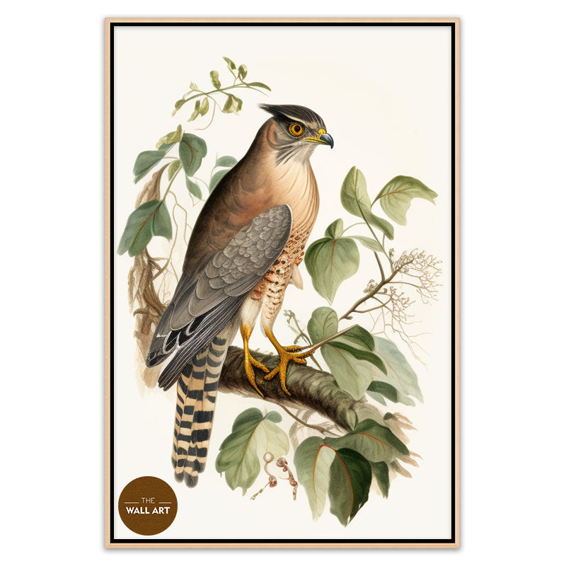 SPARROWHAWK IV