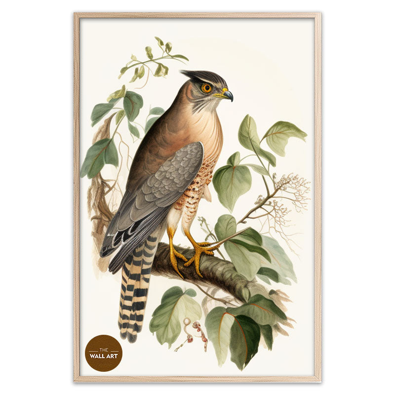 SPARROWHAWK IV