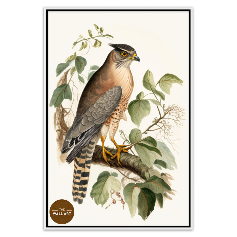 SPARROWHAWK IV