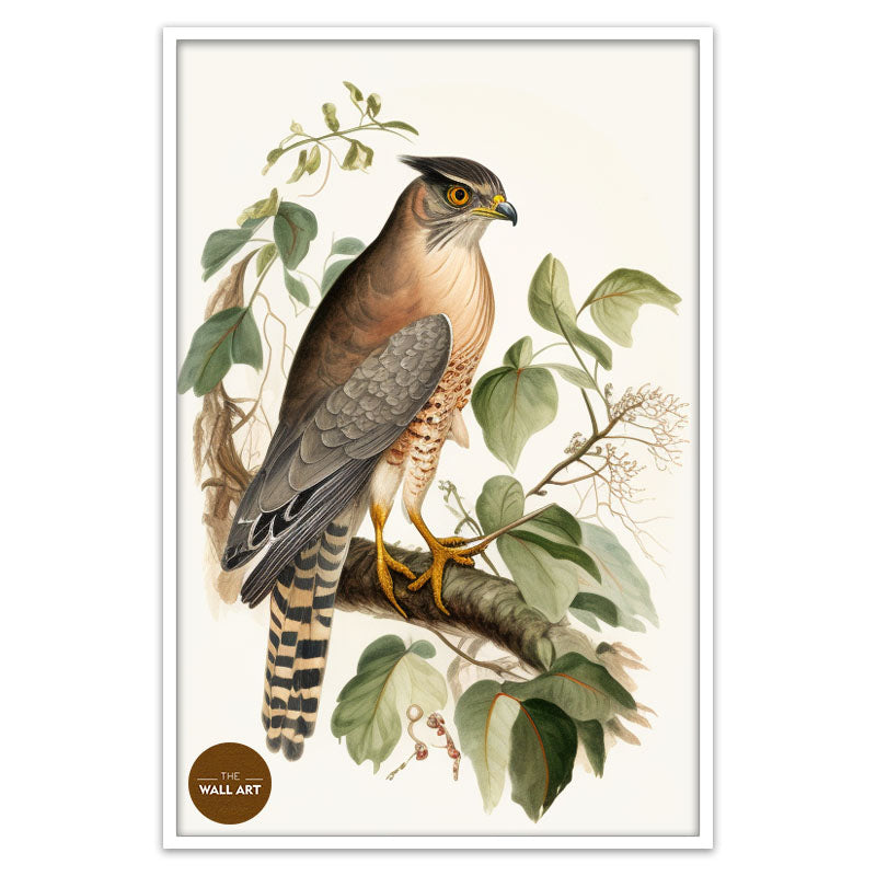 SPARROWHAWK IV