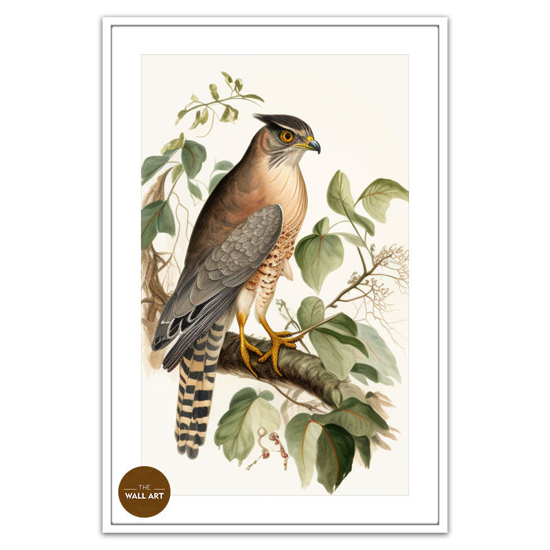 SPARROWHAWK IV