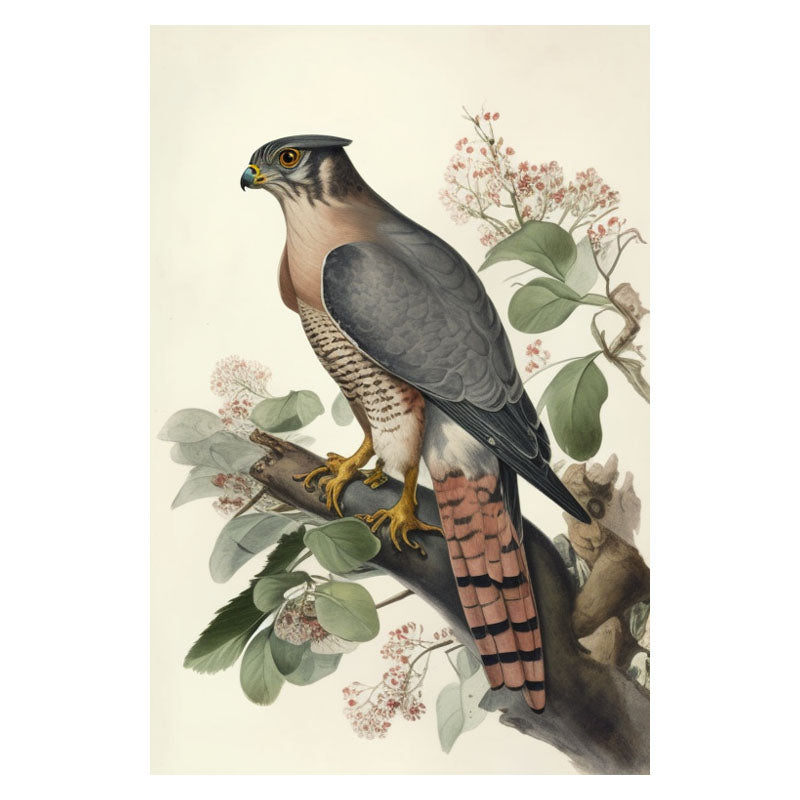 SPARROWHAWK I