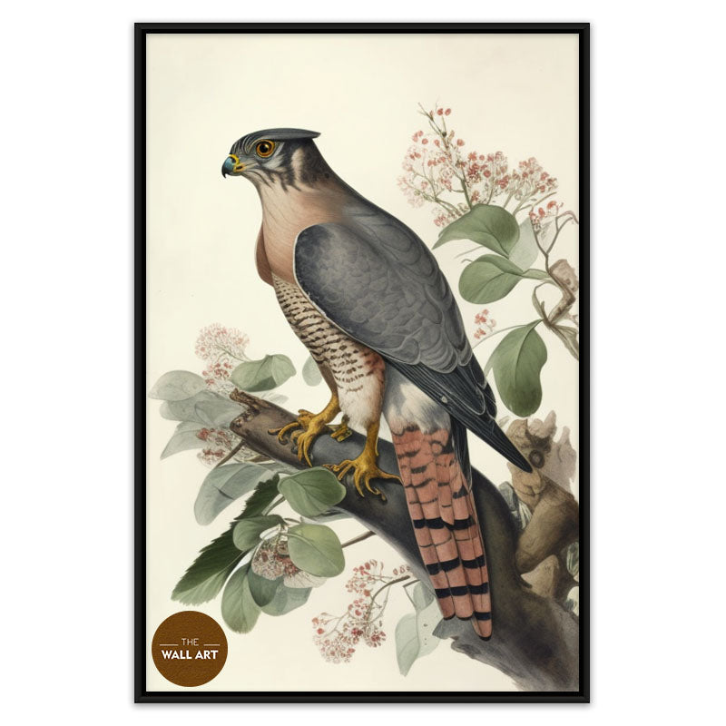 SPARROWHAWK I