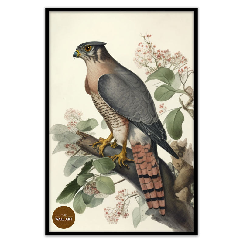 SPARROWHAWK I