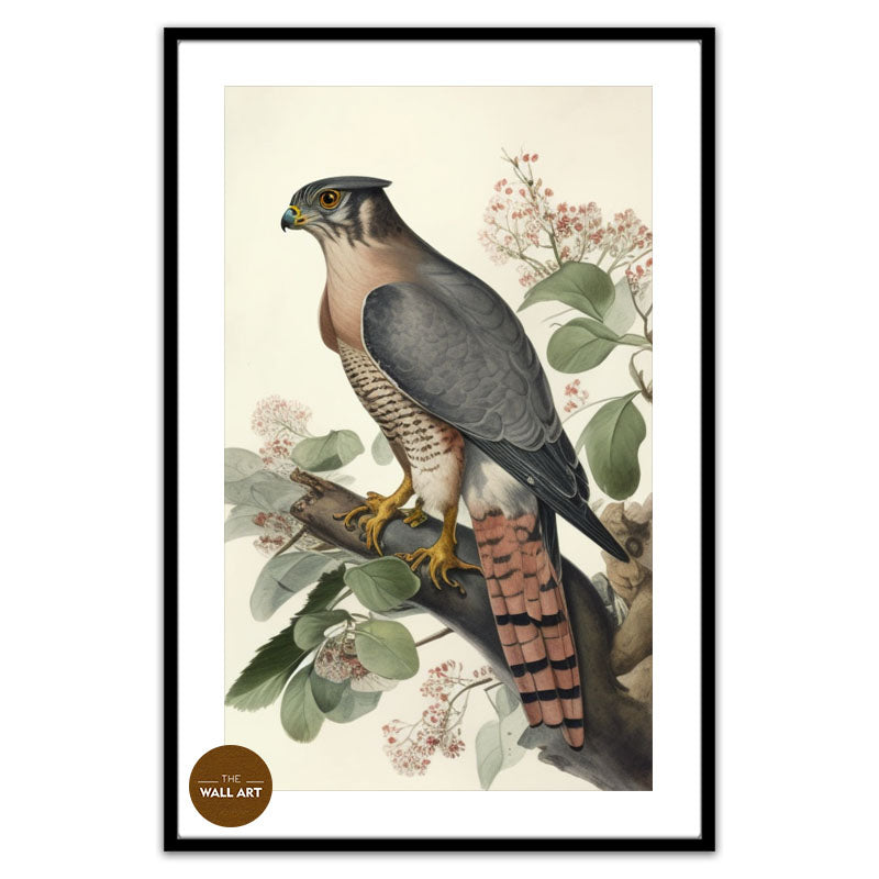 SPARROWHAWK I