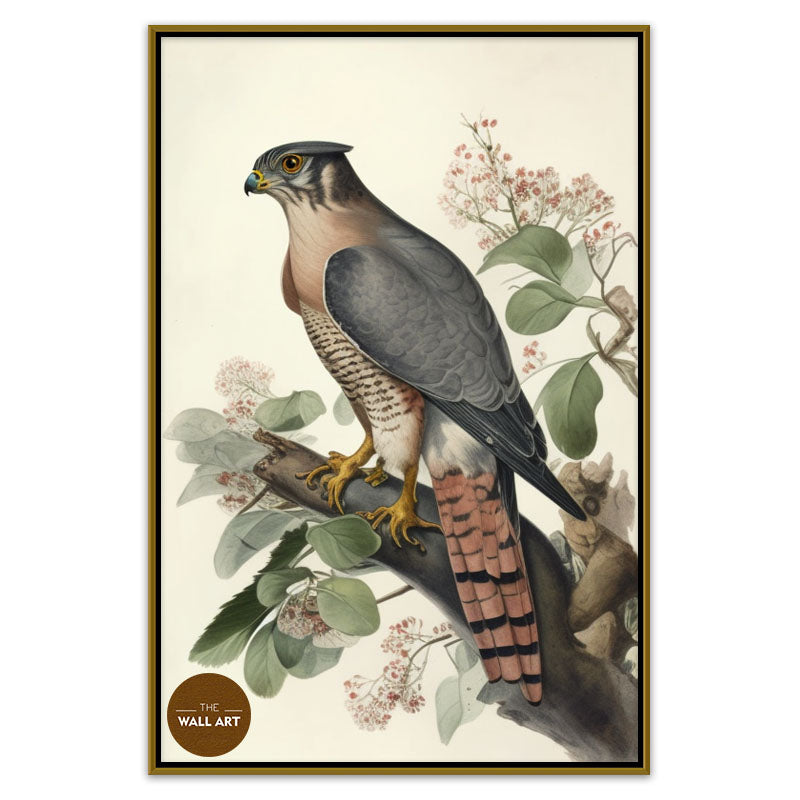 SPARROWHAWK I