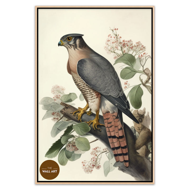 SPARROWHAWK I