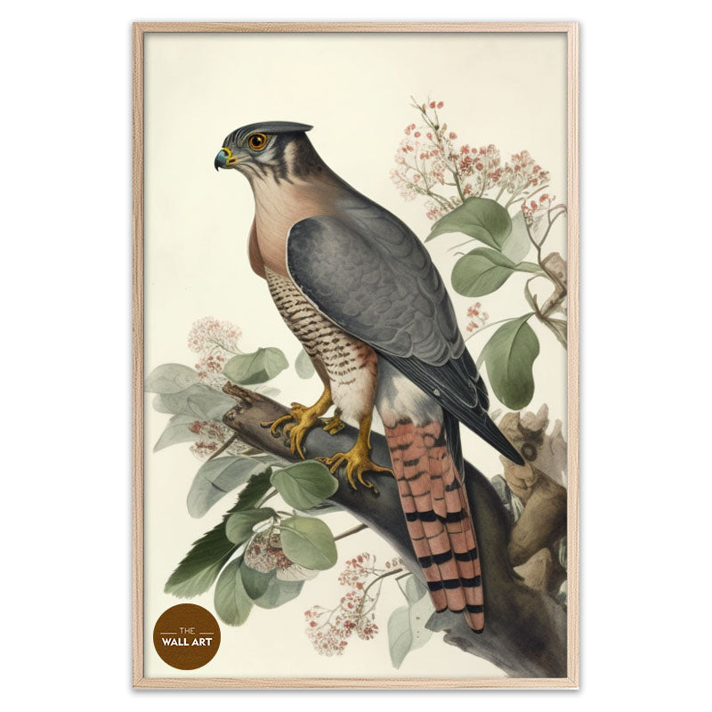 SPARROWHAWK I