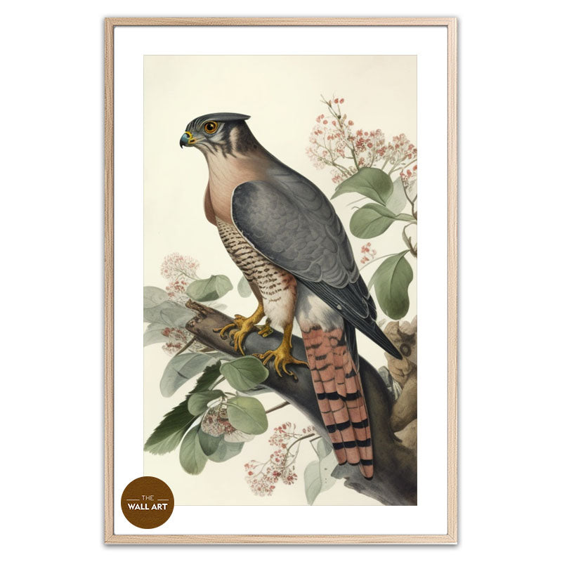SPARROWHAWK I