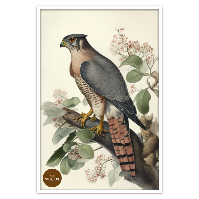 SPARROWHAWK I