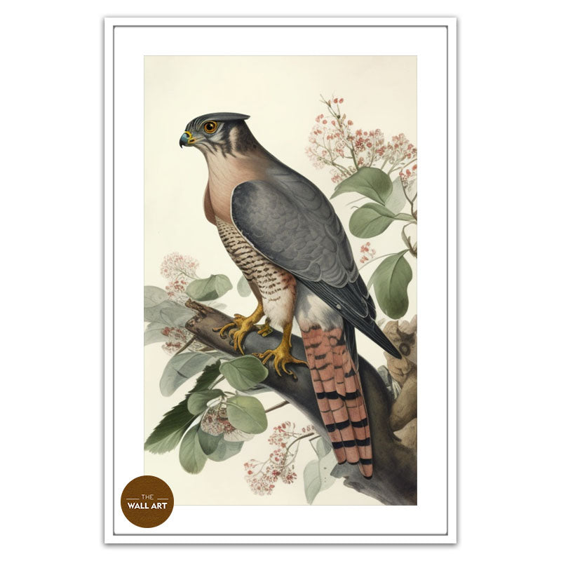 SPARROWHAWK I