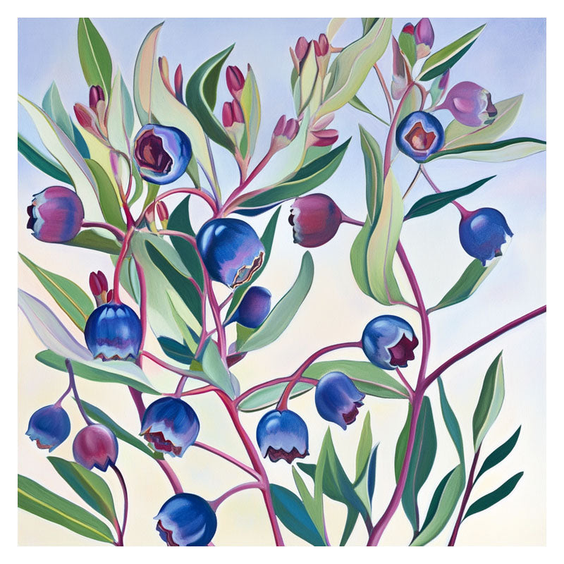 TASMANIAN BLUEBERRY