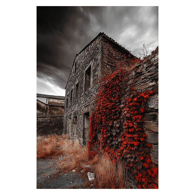 THE RED CURTAIN OF TIME III