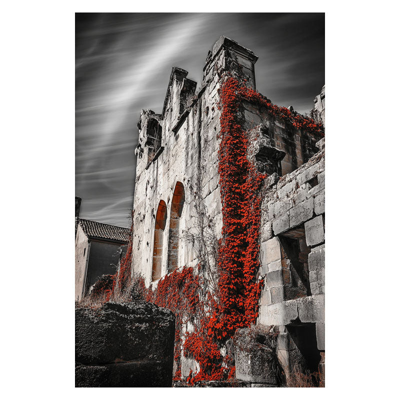 THE RED CURTAIN OF TIME II