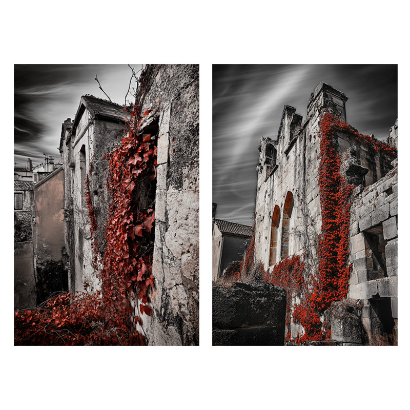 THE RED CURTAIN OF TIME II_SETOF2_