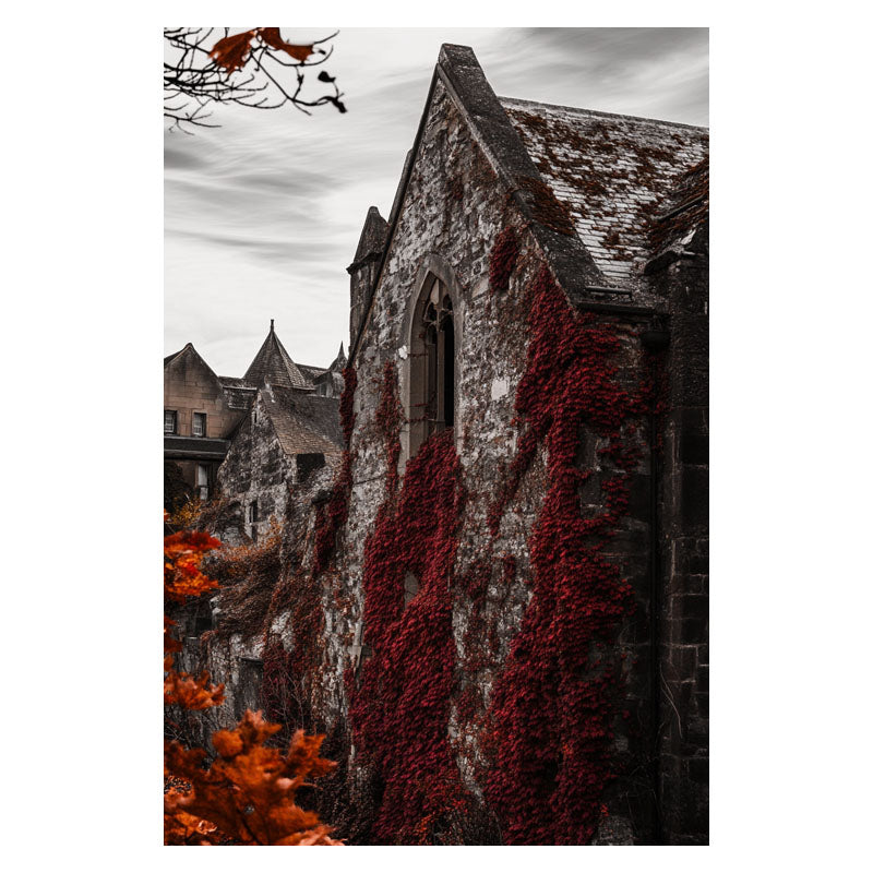 THE RED CURTAIN OF TIME I