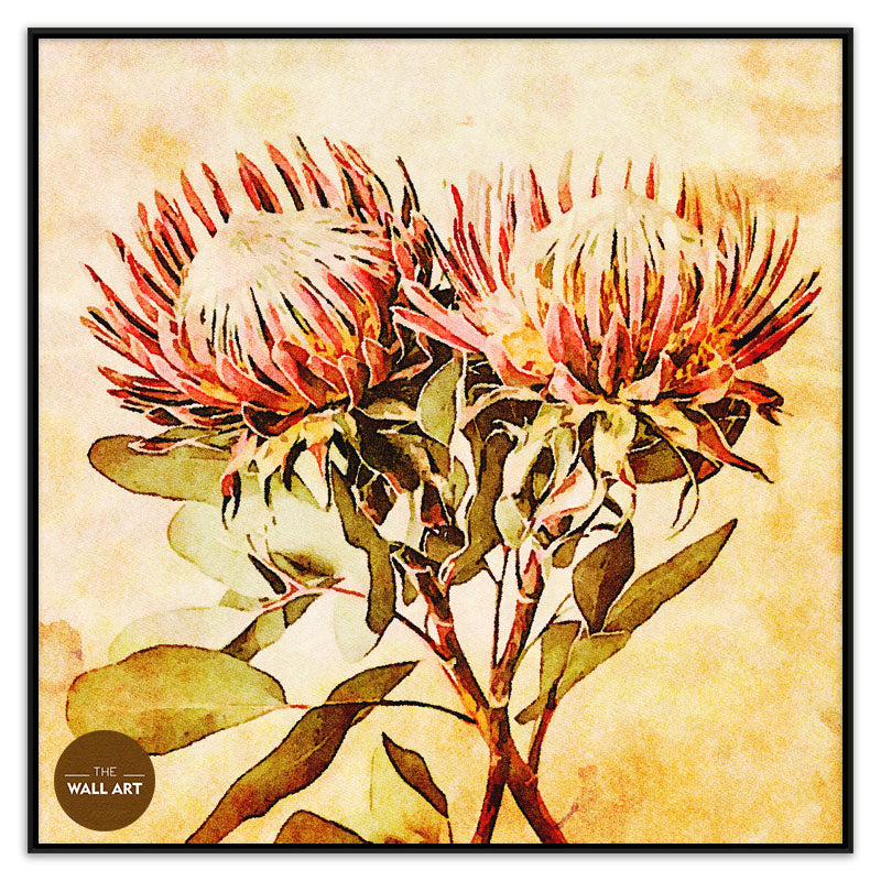 VINTAGE PROOTEA_FLOWERS