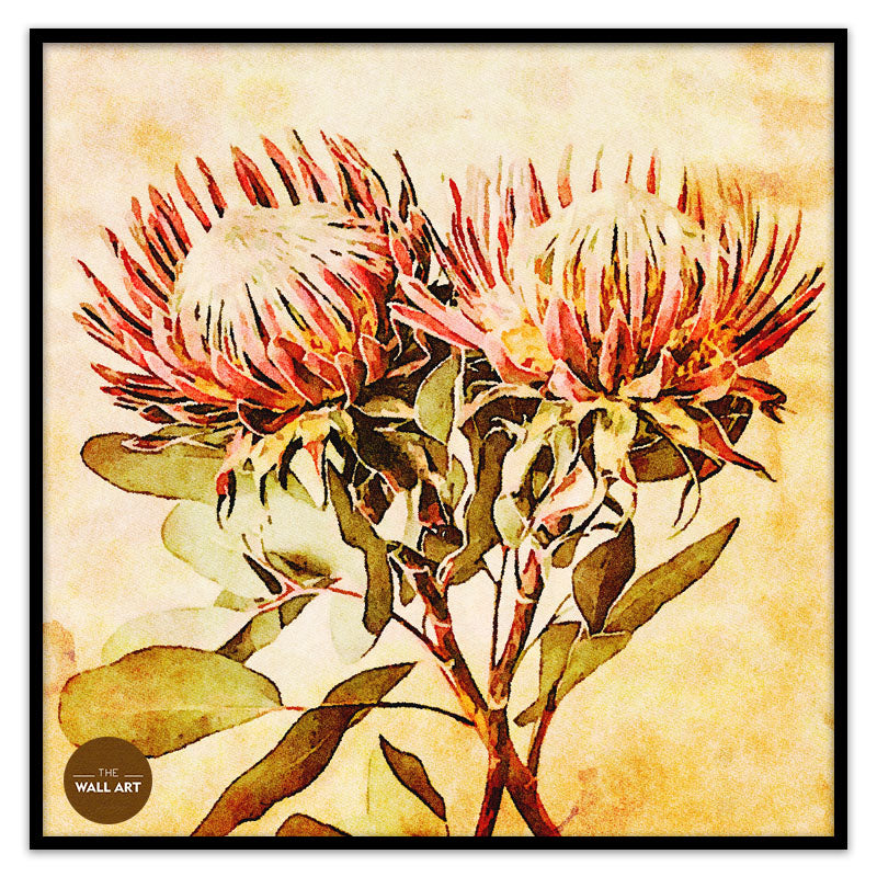 VINTAGE PROOTEA_FLOWERS