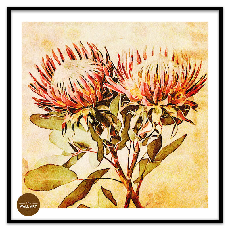 VINTAGE PROOTEA_FLOWERS
