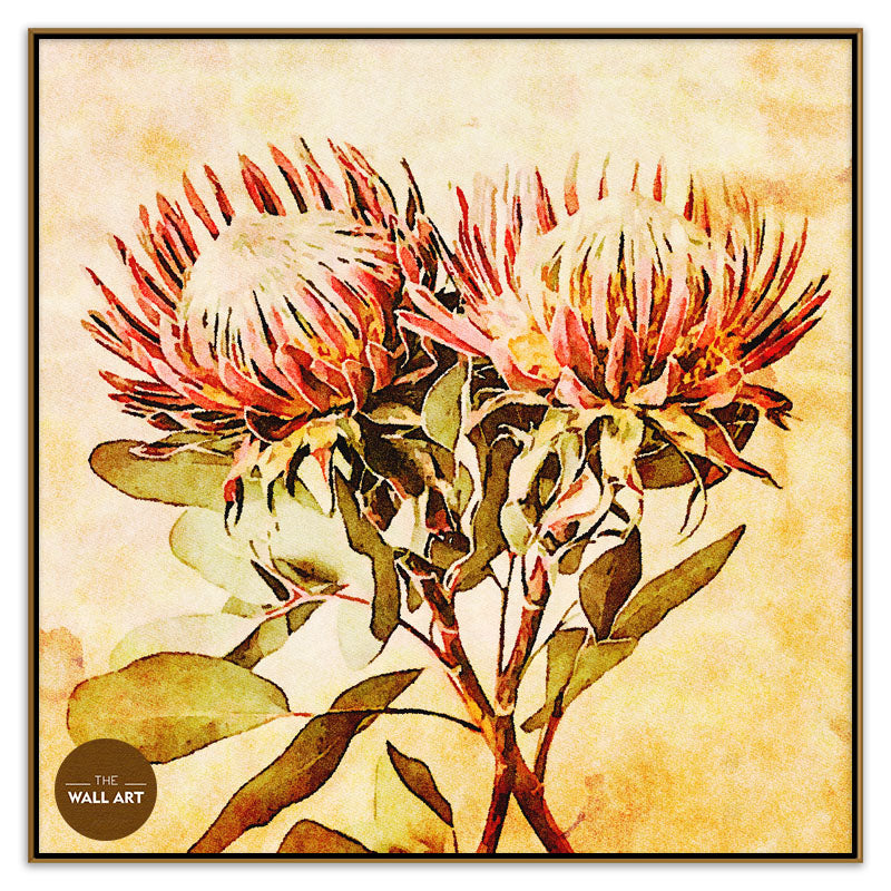 VINTAGE PROOTEA_FLOWERS