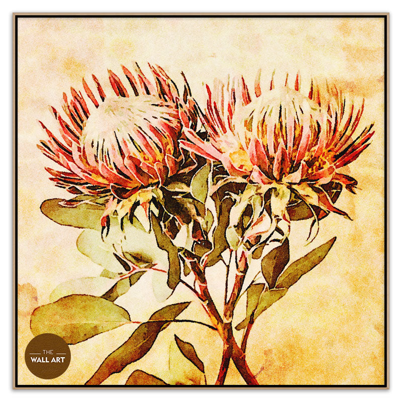 VINTAGE PROOTEA_FLOWERS