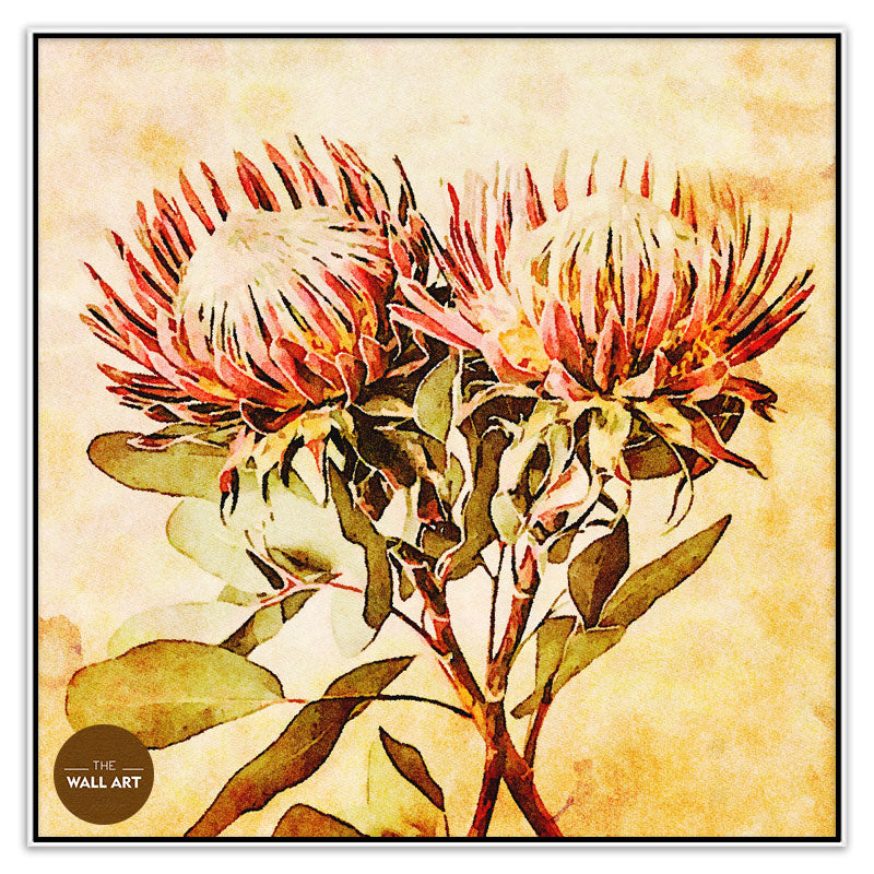 VINTAGE PROOTEA_FLOWERS