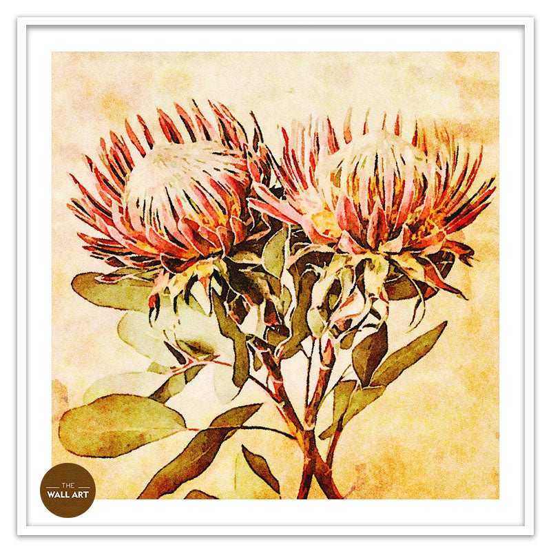 VINTAGE PROOTEA_FLOWERS
