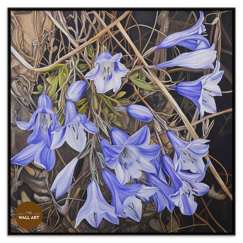 WAHLENBERGIA