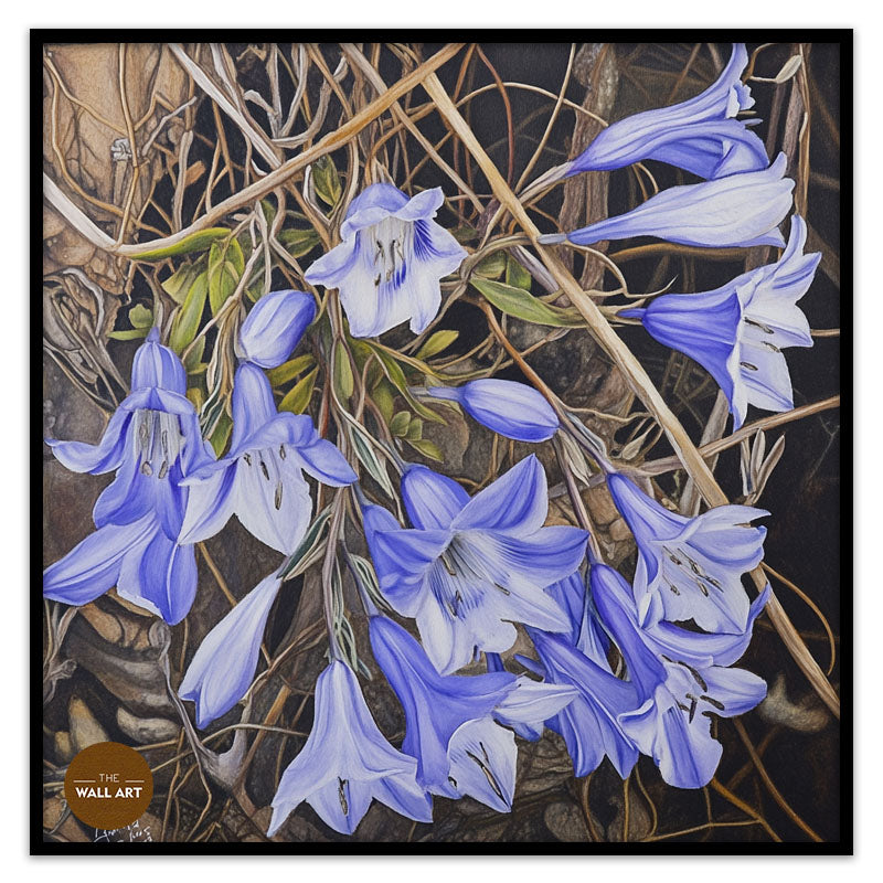 WAHLENBERGIA
