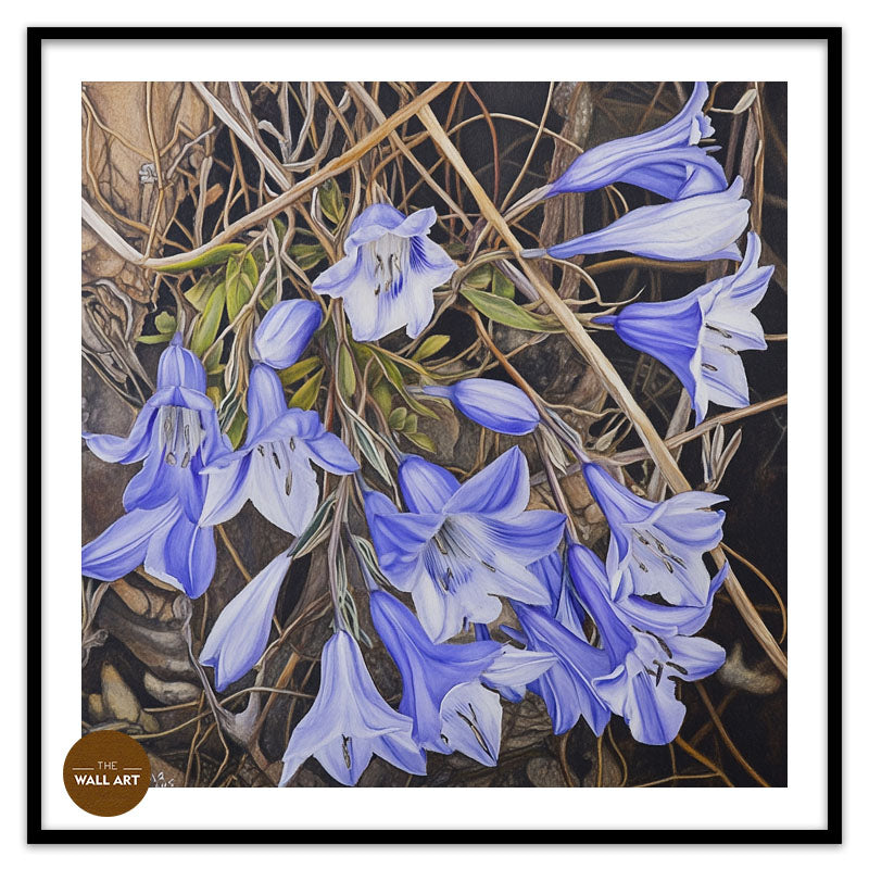 WAHLENBERGIA