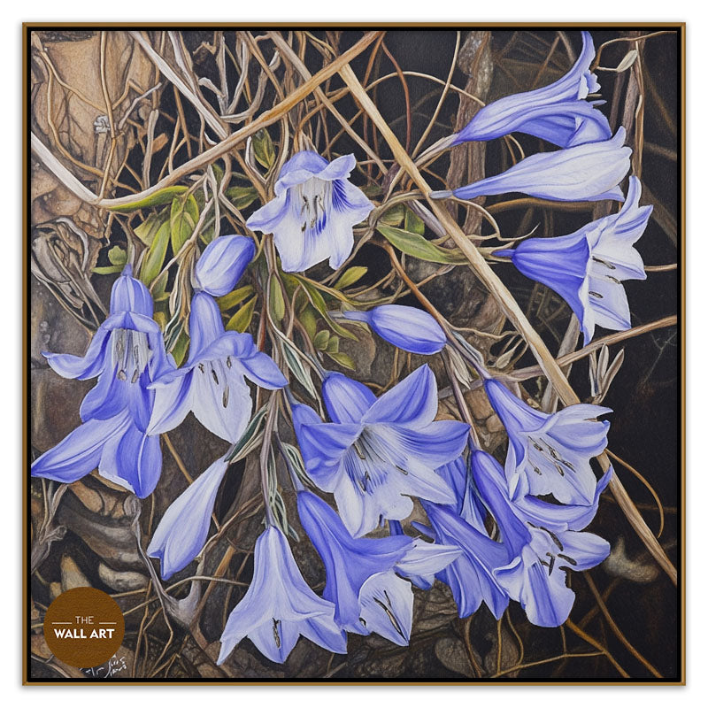 WAHLENBERGIA