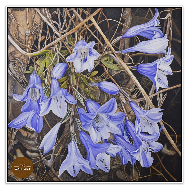 WAHLENBERGIA