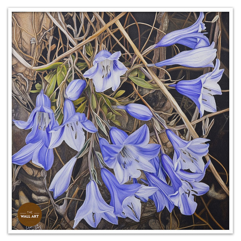 WAHLENBERGIA