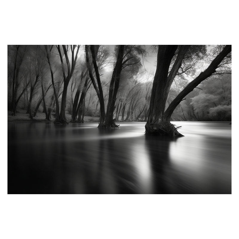 WATERLOGGED WOODS III