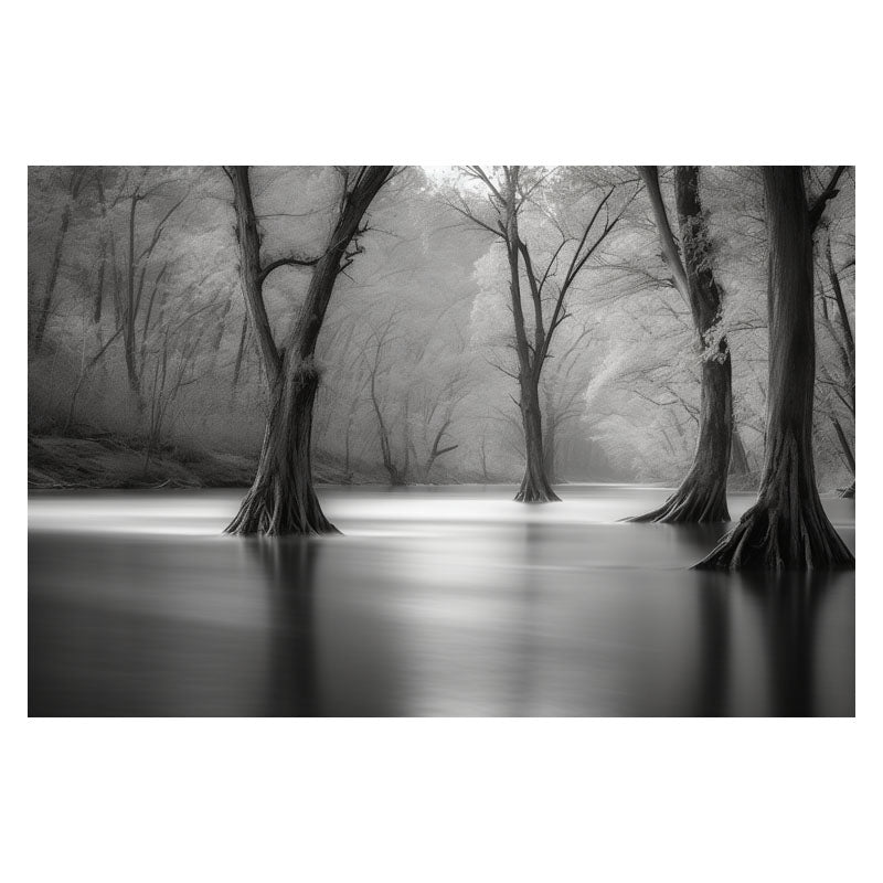 WATERLOGGED WOODS II
