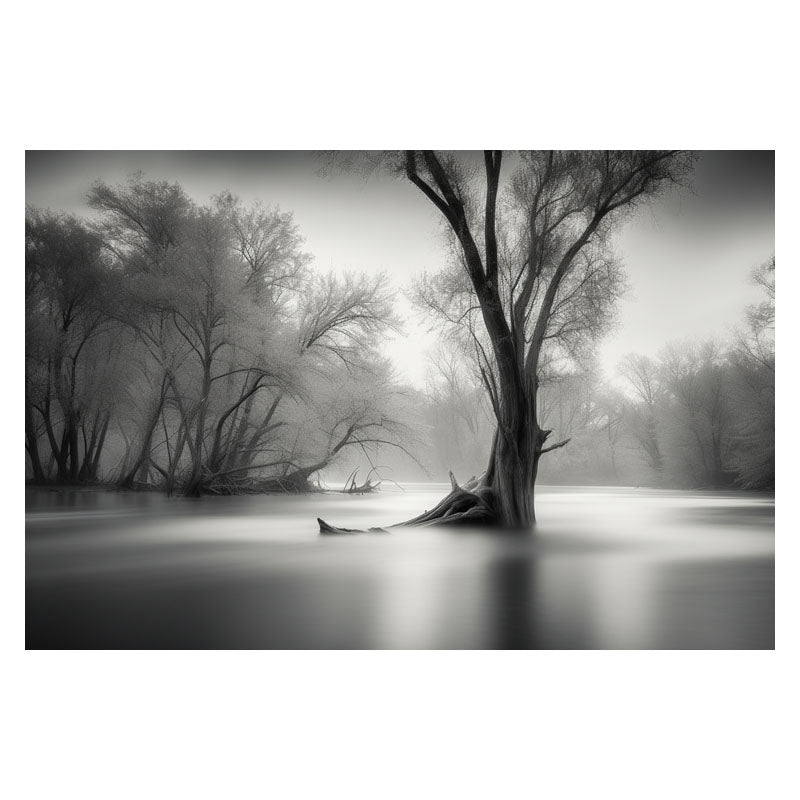 WATERLOGGED WOODS IV