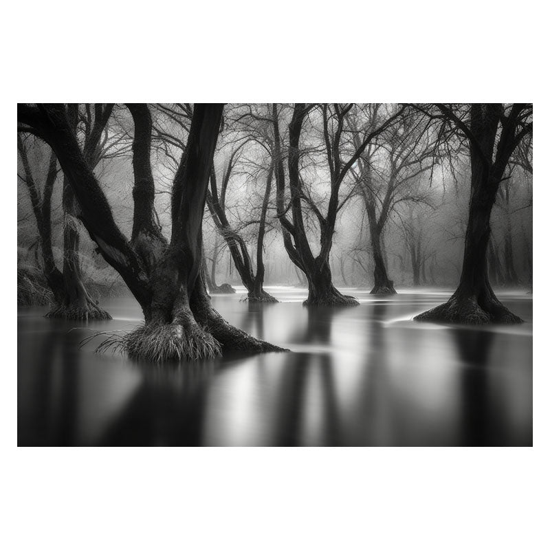 WATERLOGGED WOODS I