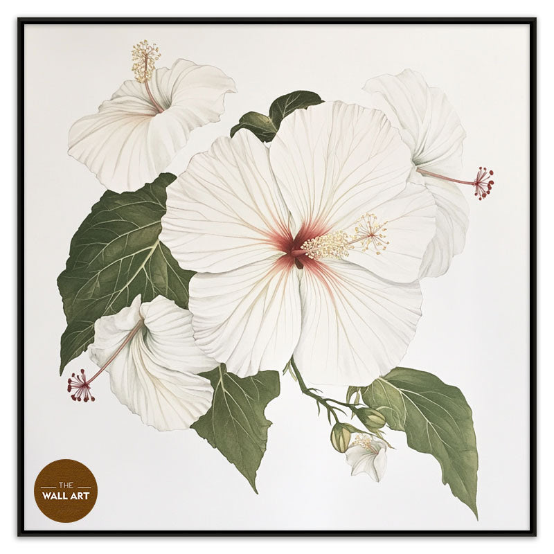 WHITE HIBISCUS