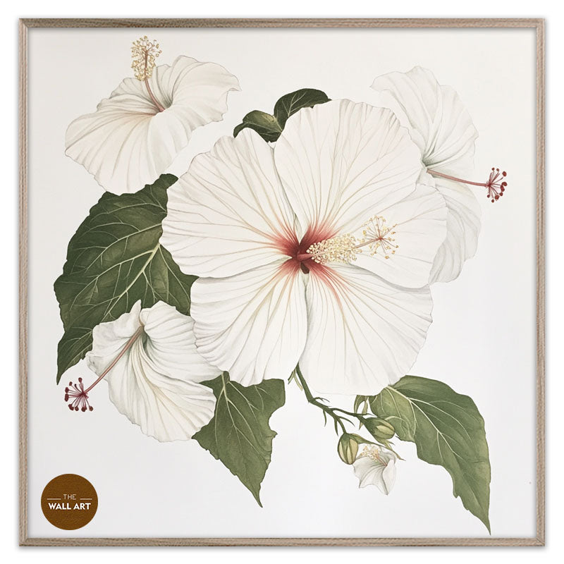 WHITE HIBISCUS