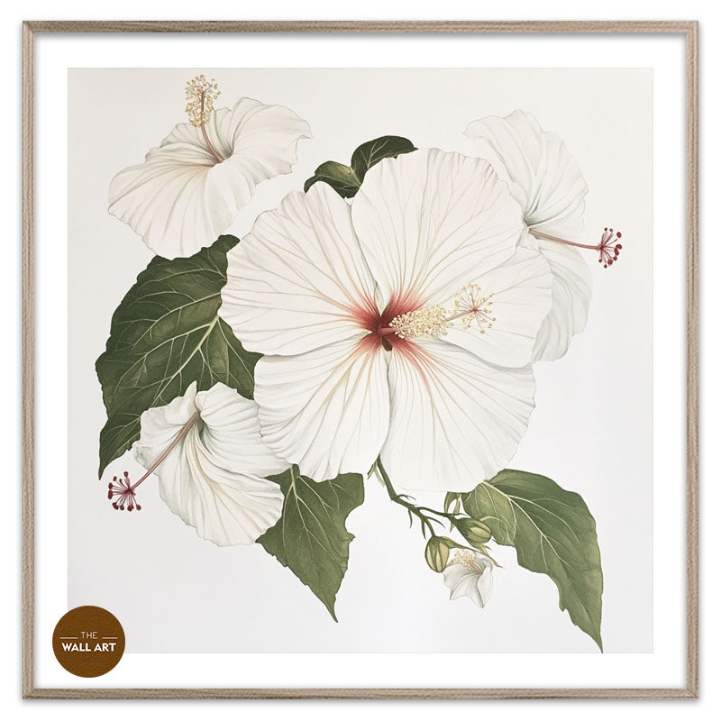 WHITE HIBISCUS